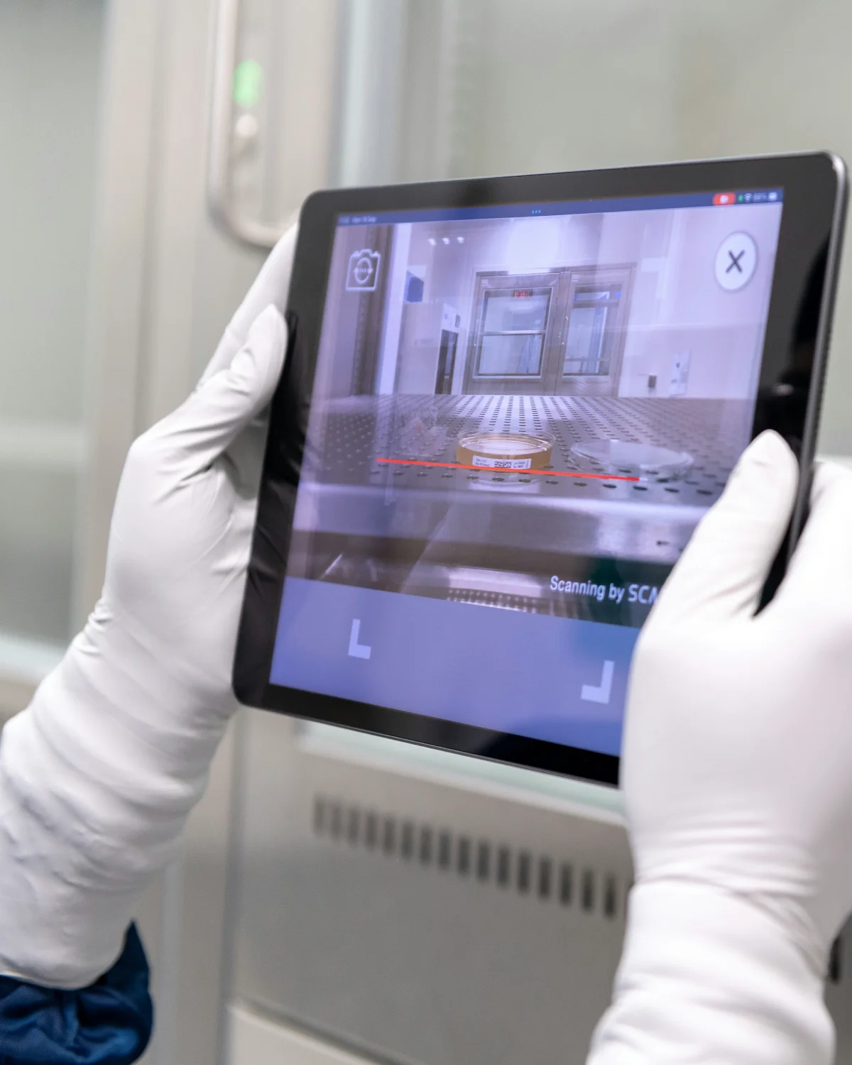 Detalle de la plataforma